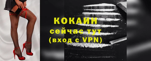 МДПВ Новозыбков