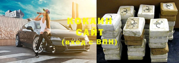 МДПВ Новозыбков