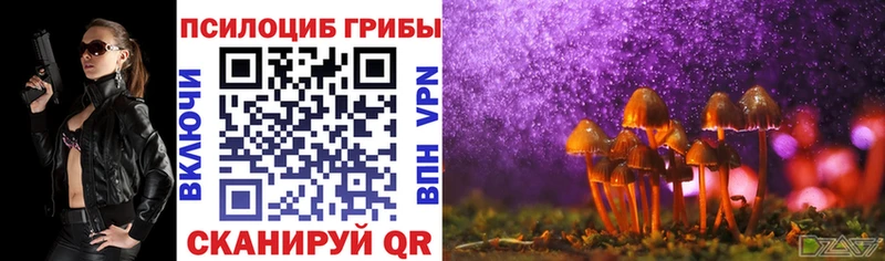 Псилоцибиновые грибы GOLDEN TEACHER Таганрог