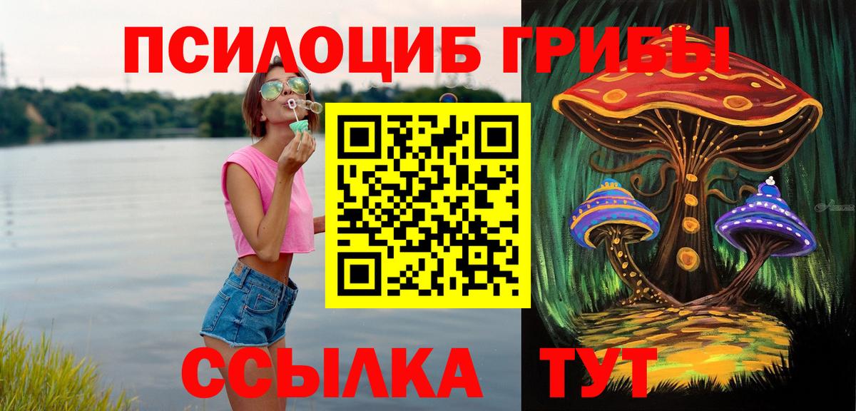 как найти закладки  Таганрог  Галлюциногенные грибы Magic Shrooms  Псилоцибиновые грибы мицелий 