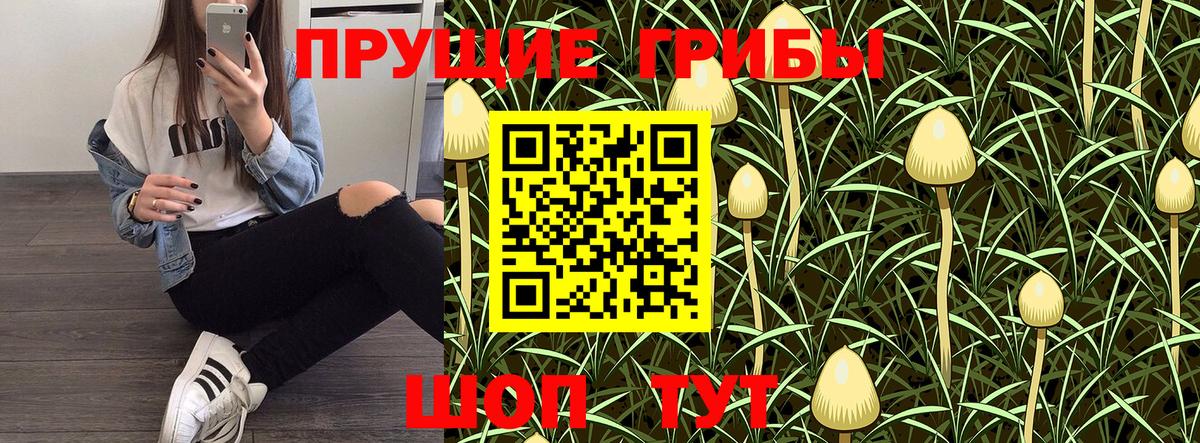 Псилоцибиновые грибы мицелий  Галлюциногенные грибы Psilocybe  Вход с VPN  Таганрог 