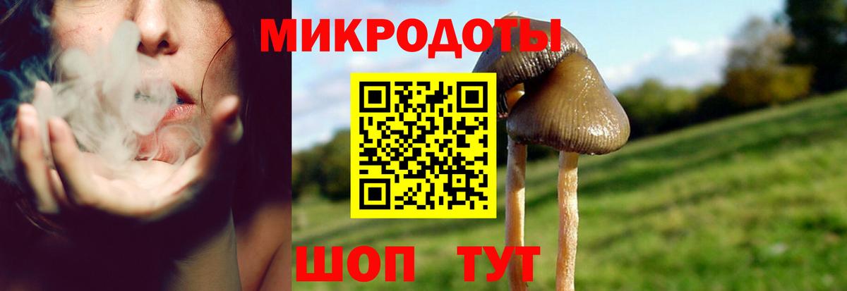 Псилоцибиновые грибы ЛСД Таганрог